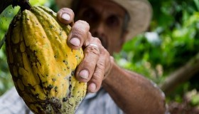 Le commerce équitable pour les nuls